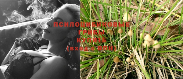 гашик Богородск