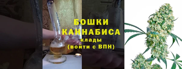 гашик Богородск