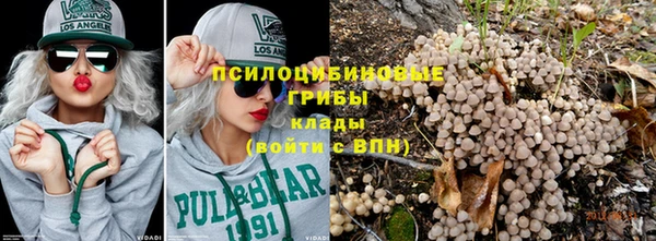 гашик Богородск