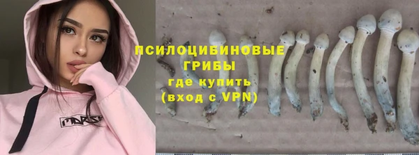 гашик Богородск