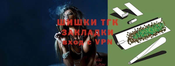 дживик Богородицк