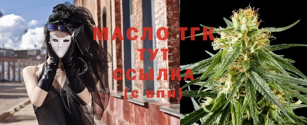 дживик Богородицк