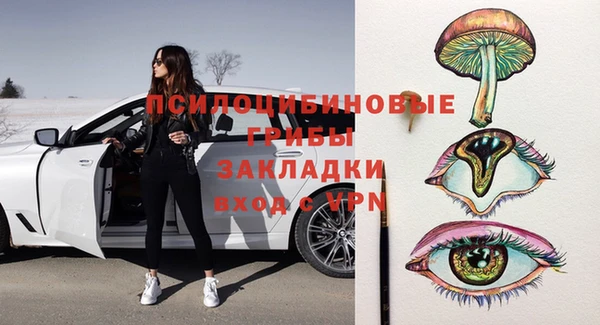 дживик Богородицк