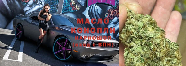 гашик Богородск