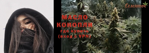 дживик Богородицк