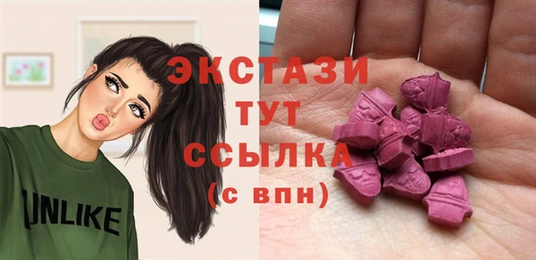дживик Богородицк