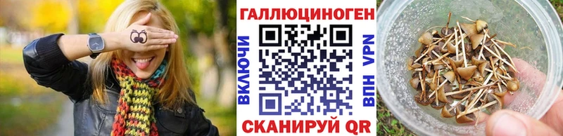 как найти наркотики Среднеуральск Галлюциногенные грибы MAGIC MUSHROOMS