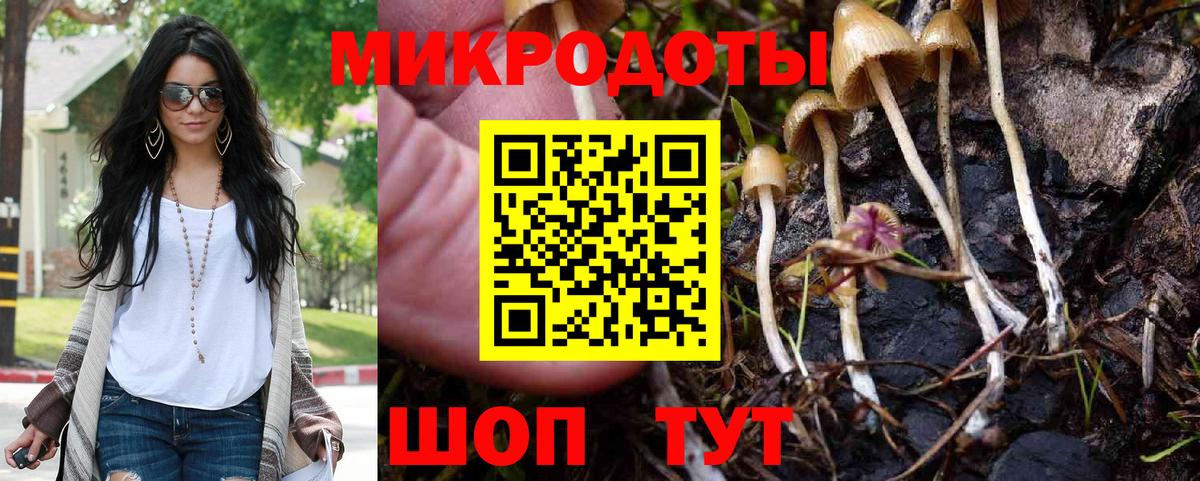Псилоцибиновые грибы Psilocybine cubensis  Псилоцибиновые грибы Psilocybe  Среднеуральск  где продают   Вход с VPN 