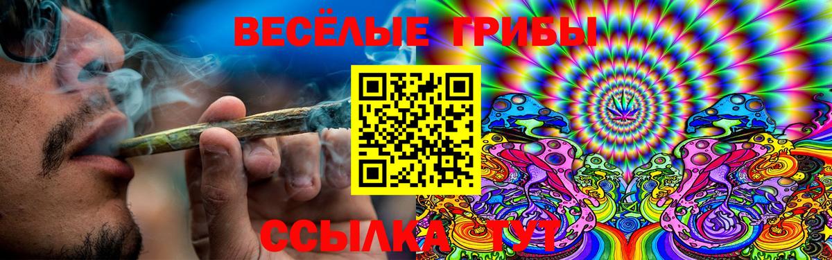 Псилоцибиновые грибы MAGIC MUSHROOMS Среднеуральск